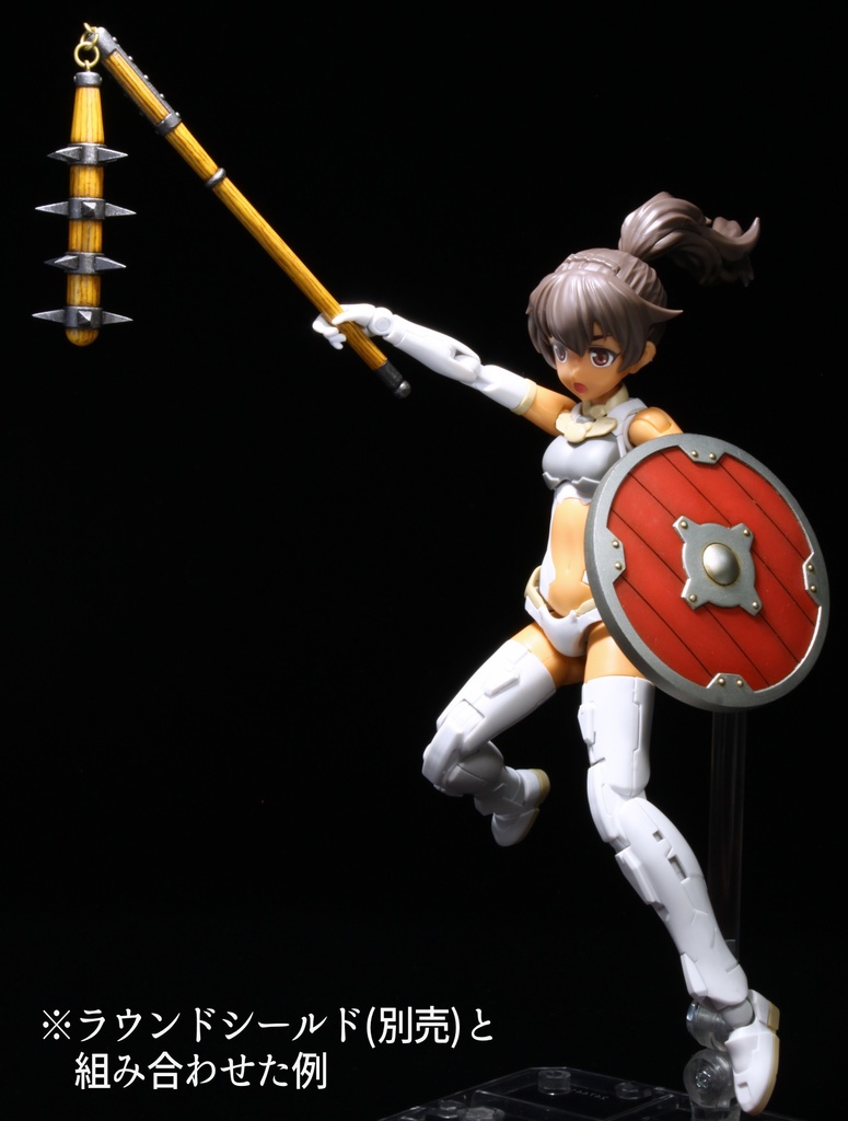 1/10~1/12 フレイル