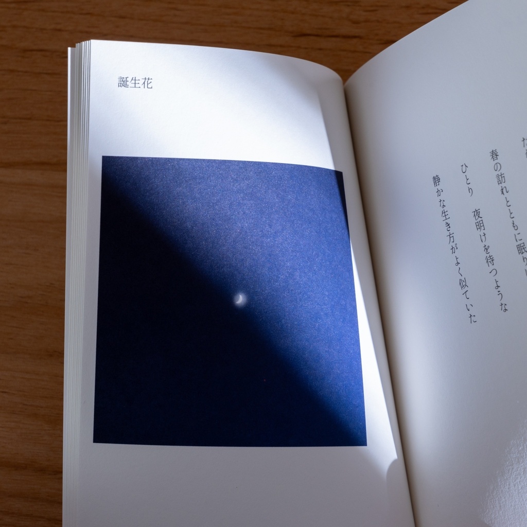 Poetry book Single 「憶月フィーカの手記」