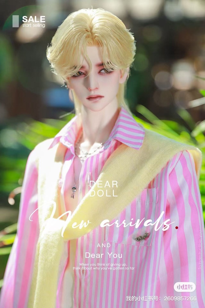 【10月発送現品】ソーダクラブ【 MDD・SDM】【全ての1/4サイズ】【SDGr・SD13】【SD17・65‐68㎝】