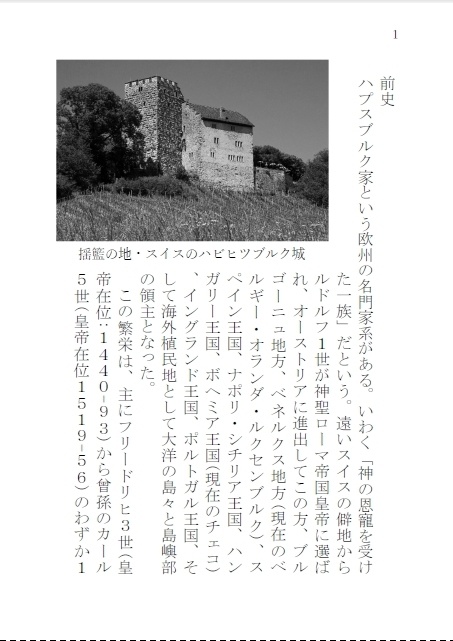 【残数少・再販無】ハプスブルク三代史-世界帝国への飛翔