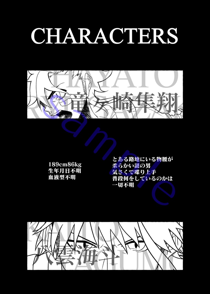 Amethyst -IS THE PAIN A FATE, OR A FETTER?-