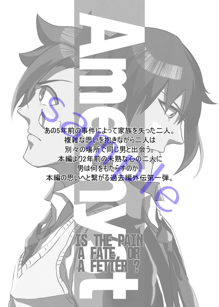 Amethyst -IS THE PAIN A FATE, OR A FETTER?-