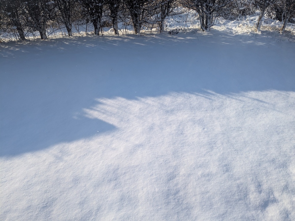 日本の紅葉・桜・雪景色 写真素材集|TRPG・漫画背景に|全30点|商用利用可