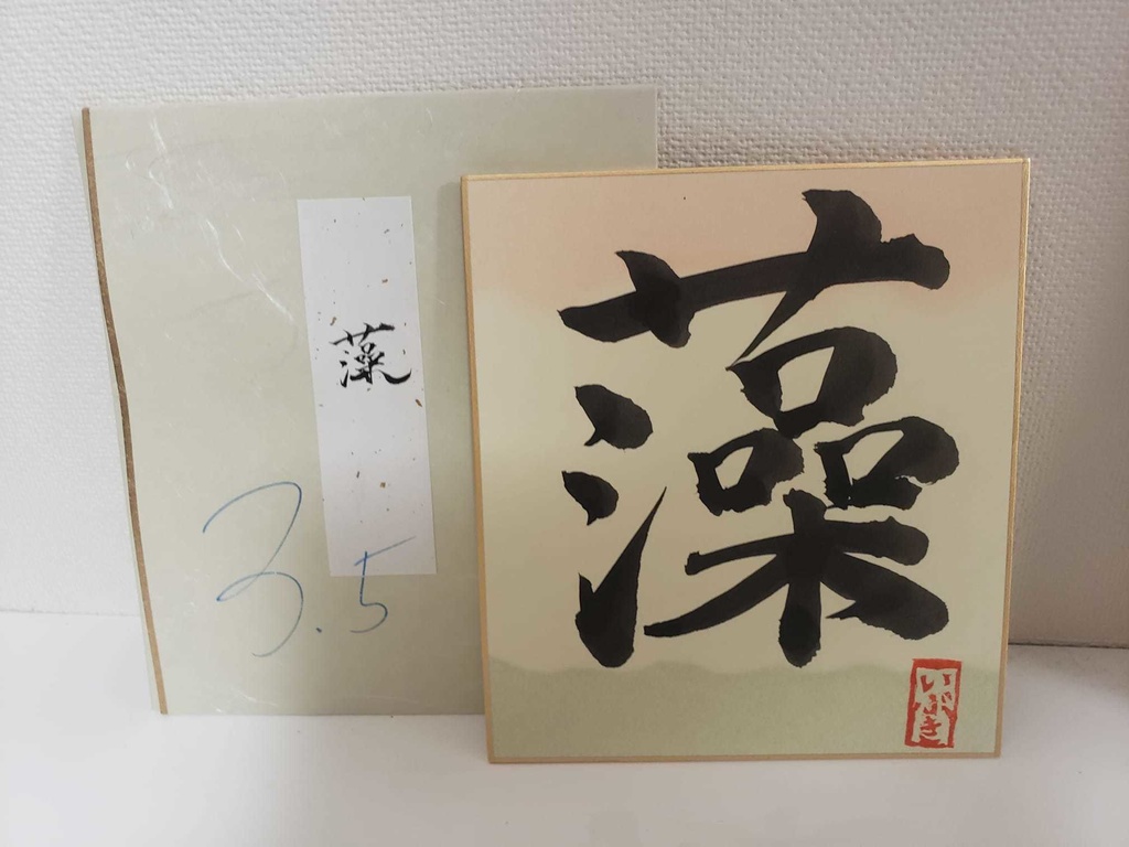 各1枚!3.5周年記念・彩色いぶき書道色紙
