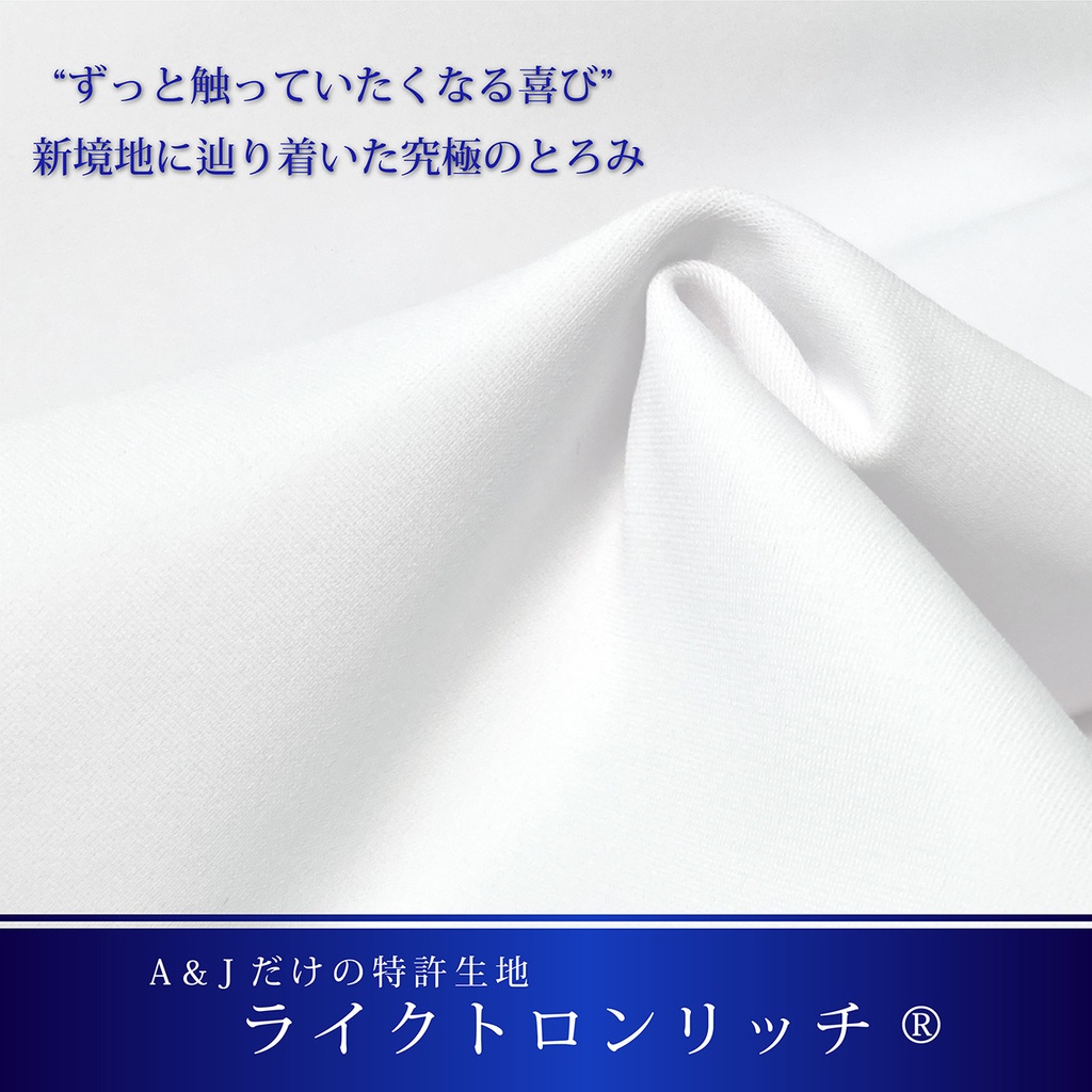 A&J ライクトロンリッチ 抱き枕カバー (W50×H160cm) 抱き枕本体セット売り モノトーン