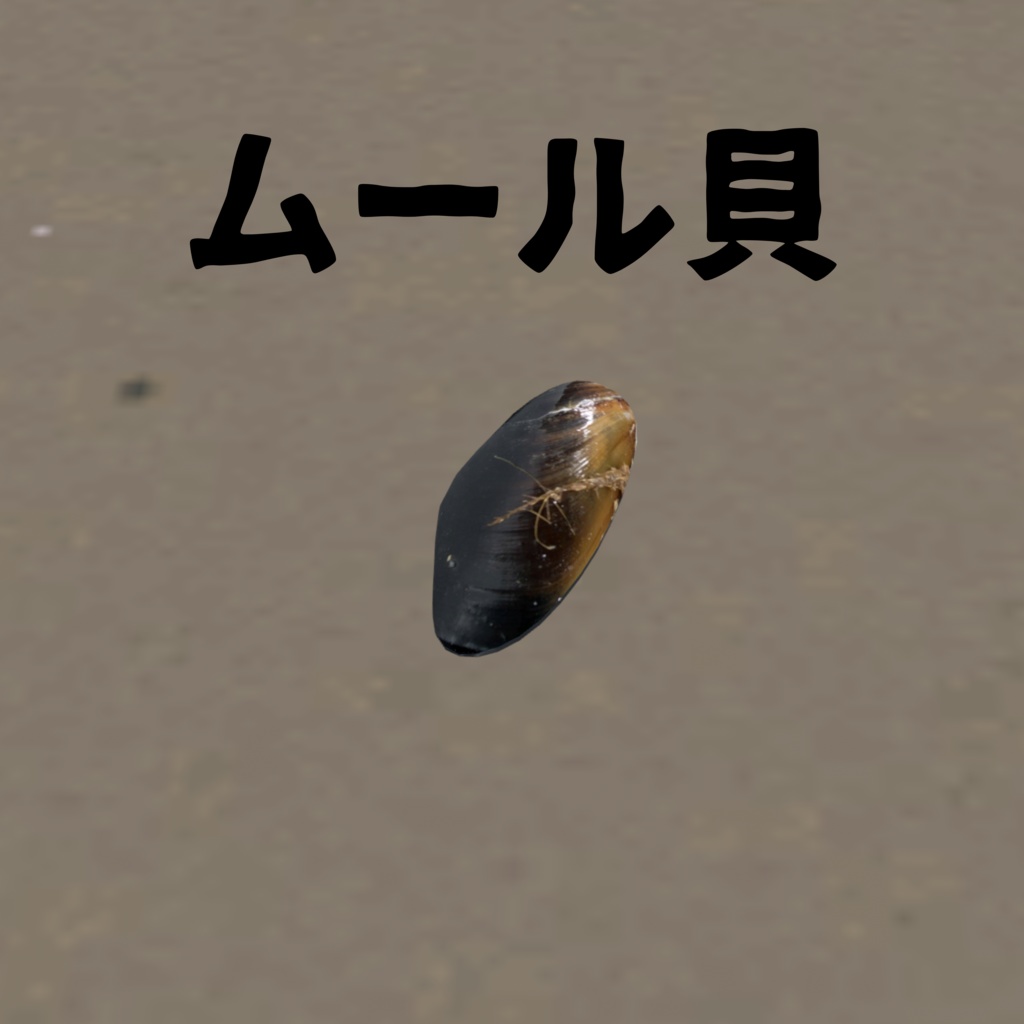 オリジナル3Dアバター 貝