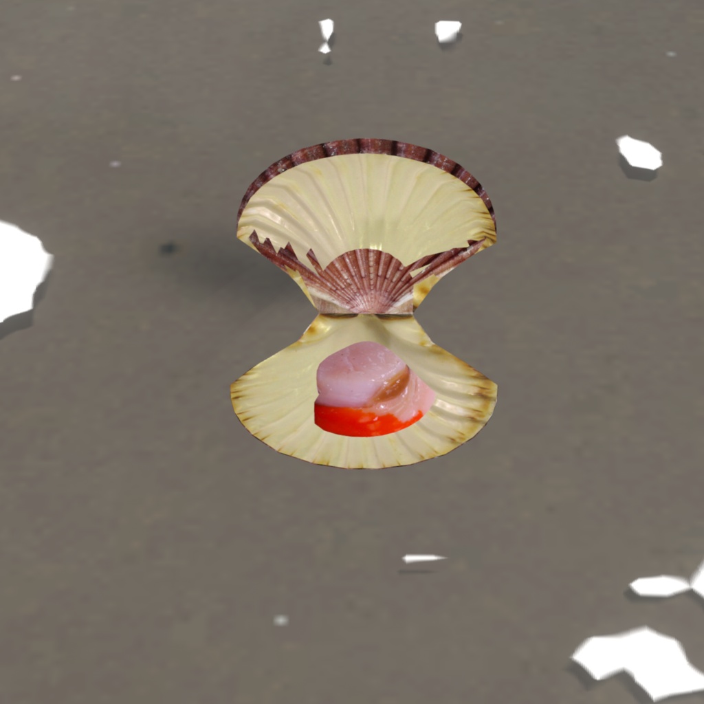 オリジナル3Dアバター 貝