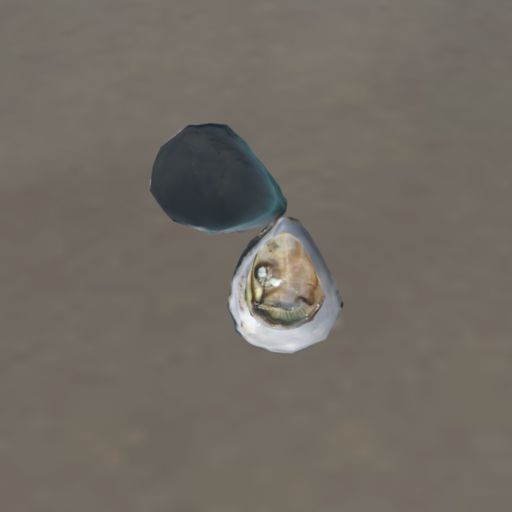 オリジナル3Dアバター 貝