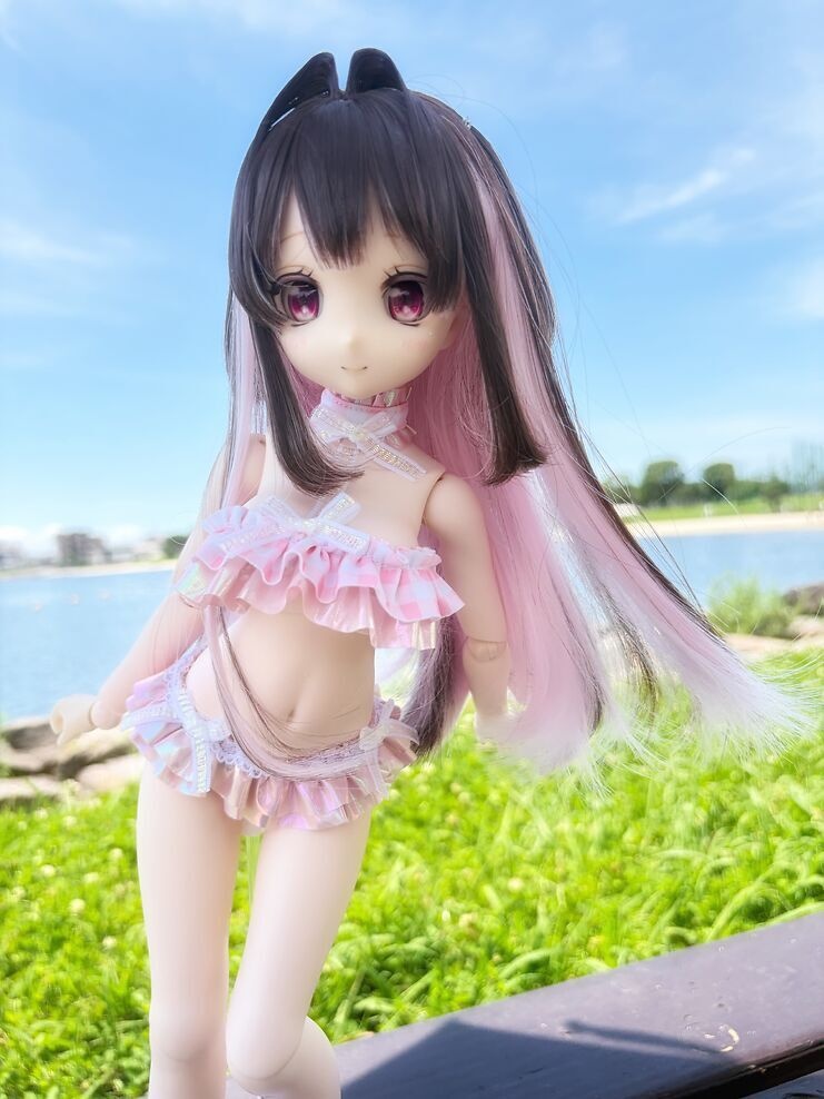シェルシュガービキニ