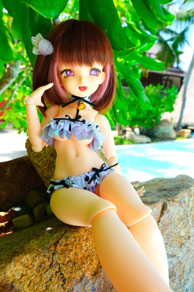 シェルシュガービキニ