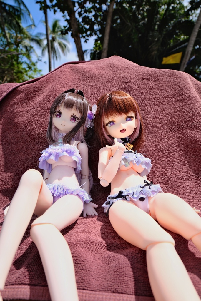シェルシュガービキニ