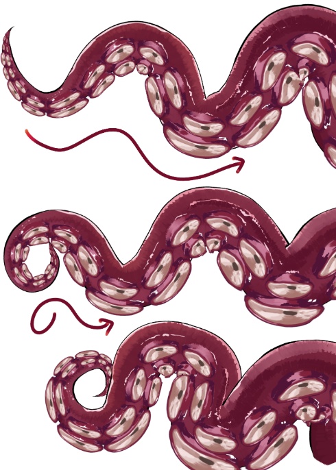 【クリスタ用】たこ足ブラシ