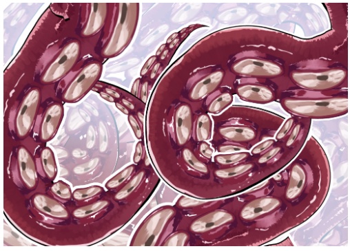 【クリスタ用】たこ足ブラシ