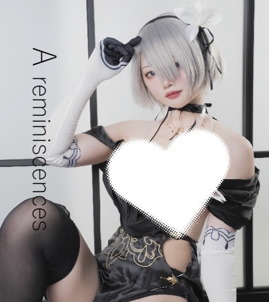 [写真集] A reminiscence