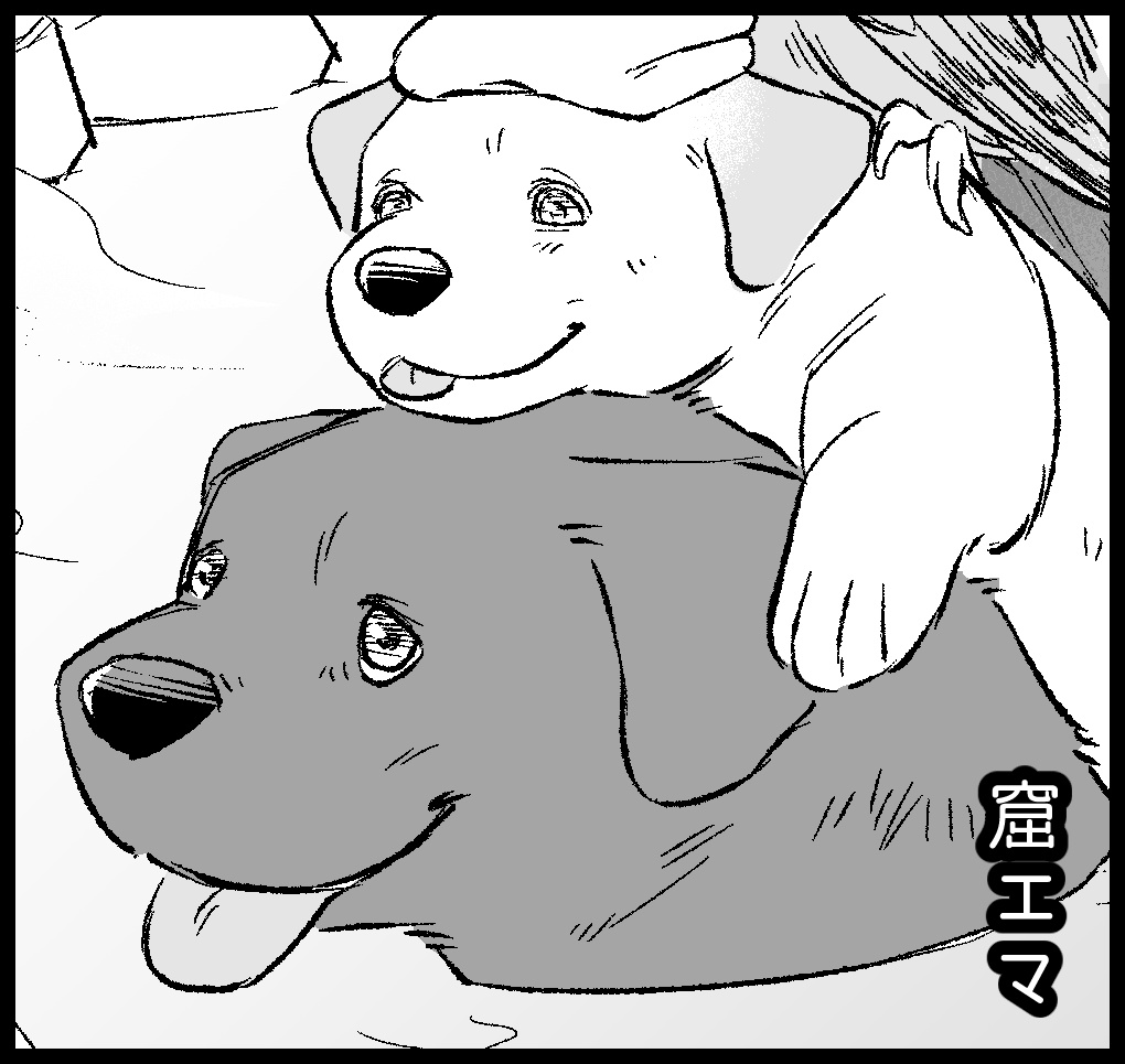 ※委託販売先変更※【お風呂テーマ作品集】ゆめぐりアンソロジー