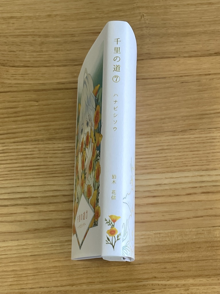 千里の道⑦ ~ハナビシソウ~