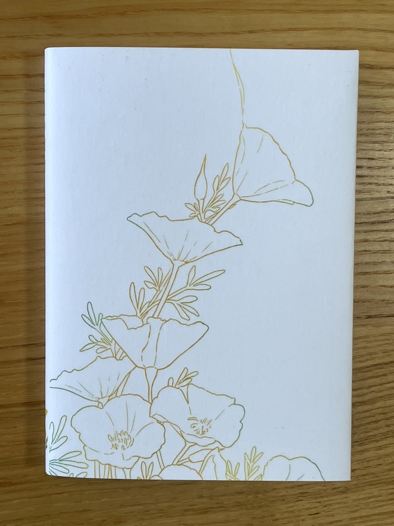 千里の道⑦ ~ハナビシソウ~