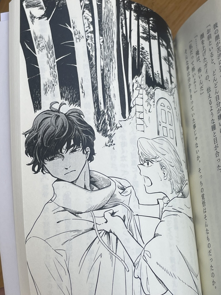 千里の道⑦ ~ハナビシソウ~