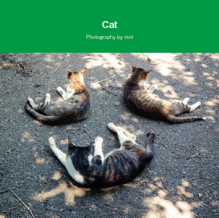 猫写真集 【Cat / Photography by mnt】 ねこぼん 3巻
