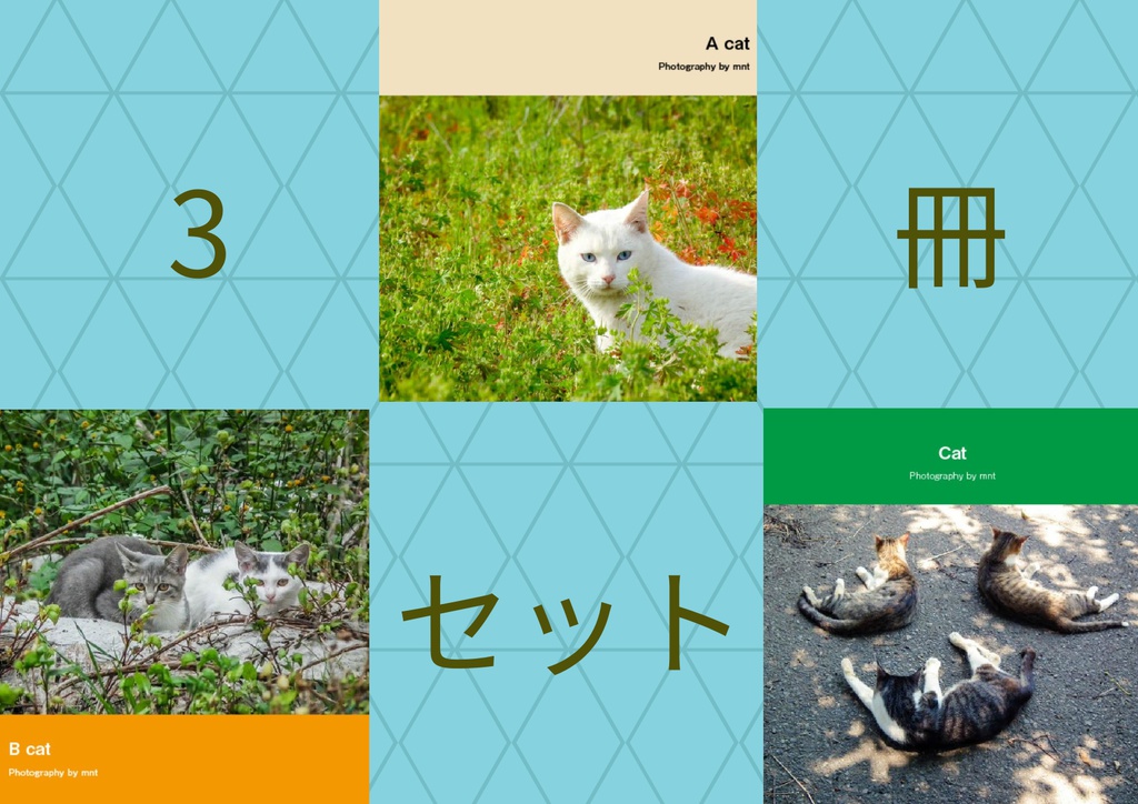 猫写真集セット 【A cat & B cat & Cat / Photography by mnt】 ねこぼん 3冊セット