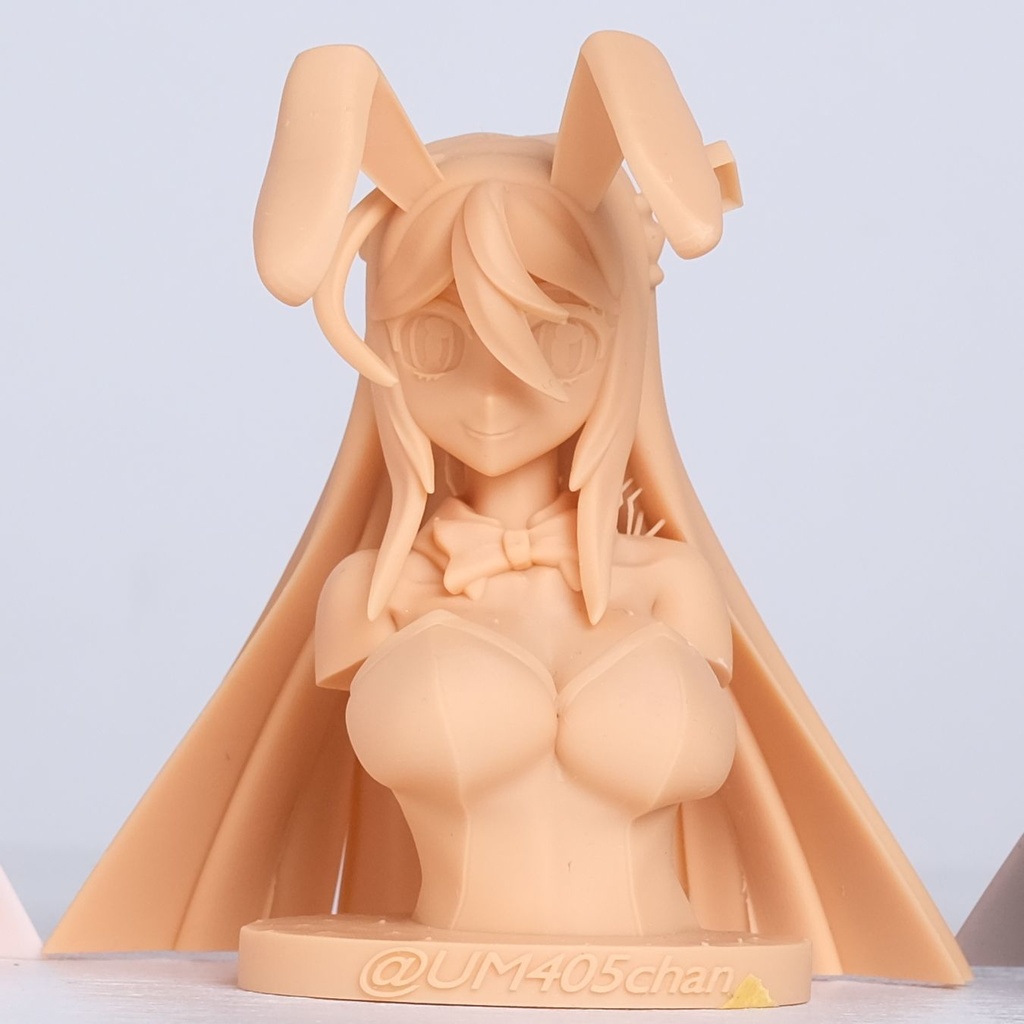 1kg水洗い可能ショーコフレッシュ3