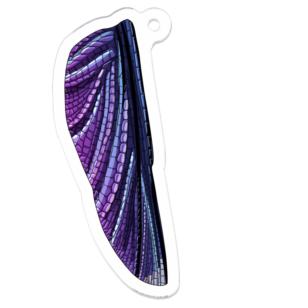 ハグロトンボの翅