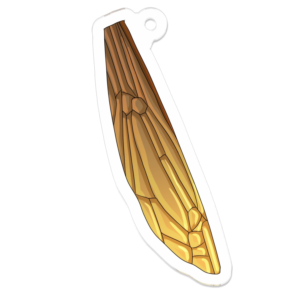 スズメバチの翅