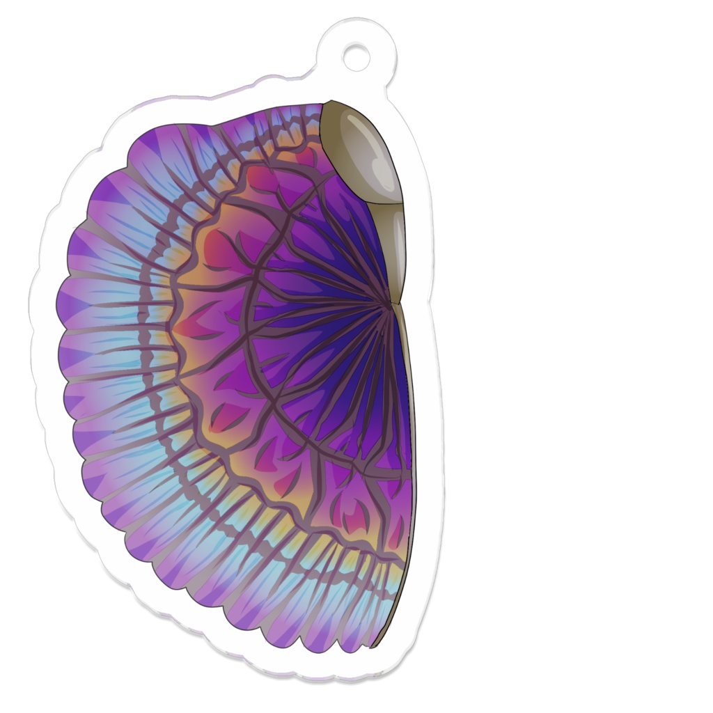 ハサミムシの翅