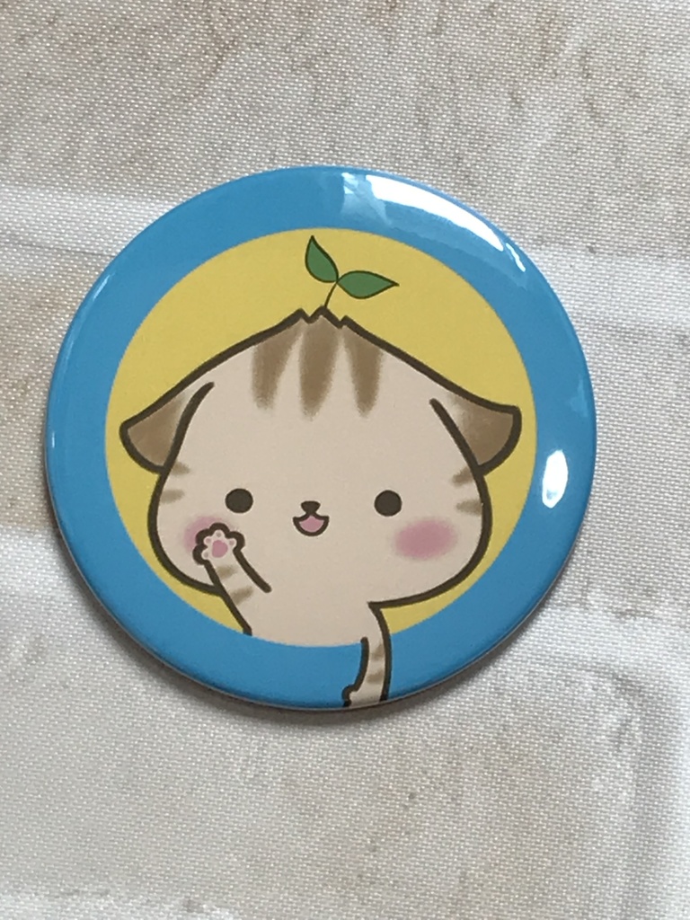 缶ミラー