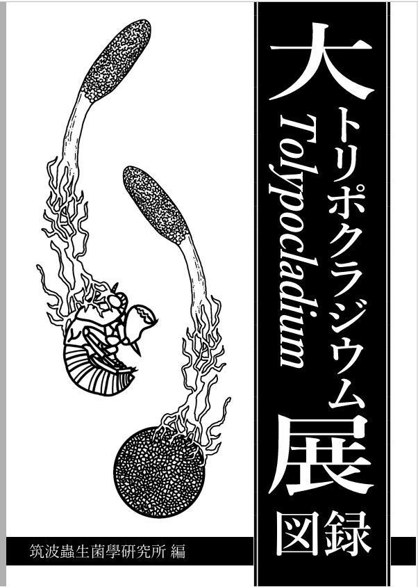 大Tolypocladium展図録