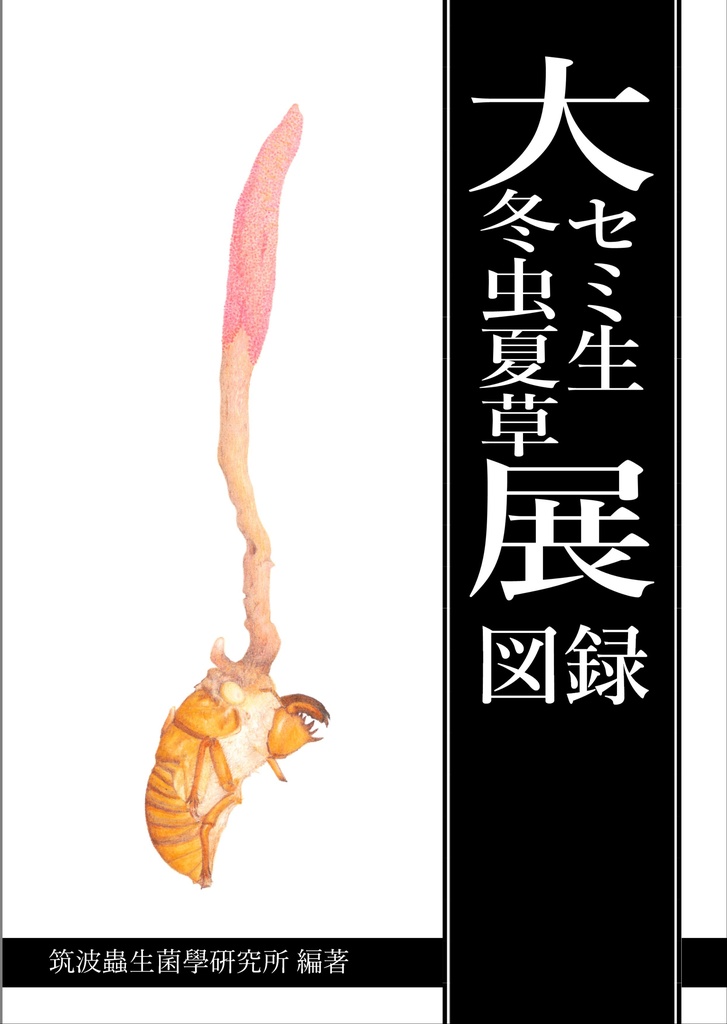 【電子版】大セミ生冬虫夏草展図録