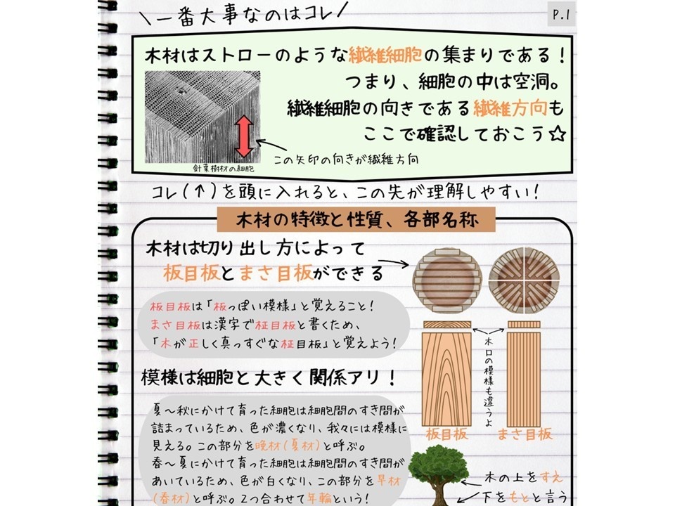 木材まとめノート_中学校技術科_A.材料と加工