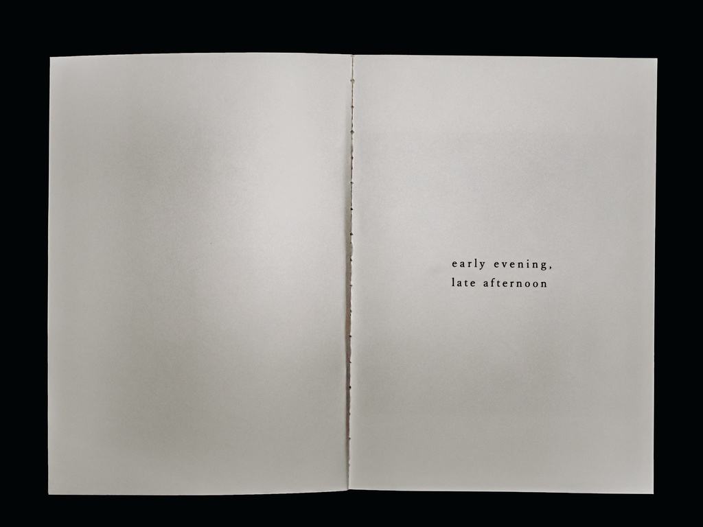 THE COLLECTIONS Vol.2