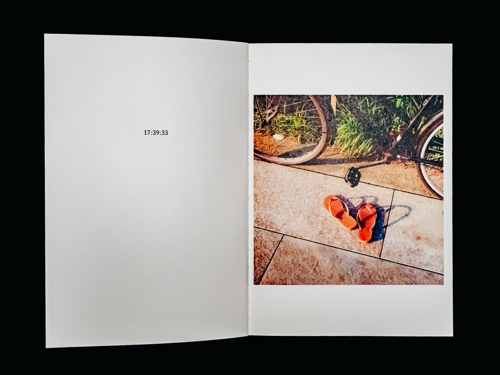 THE COLLECTIONS Vol.2