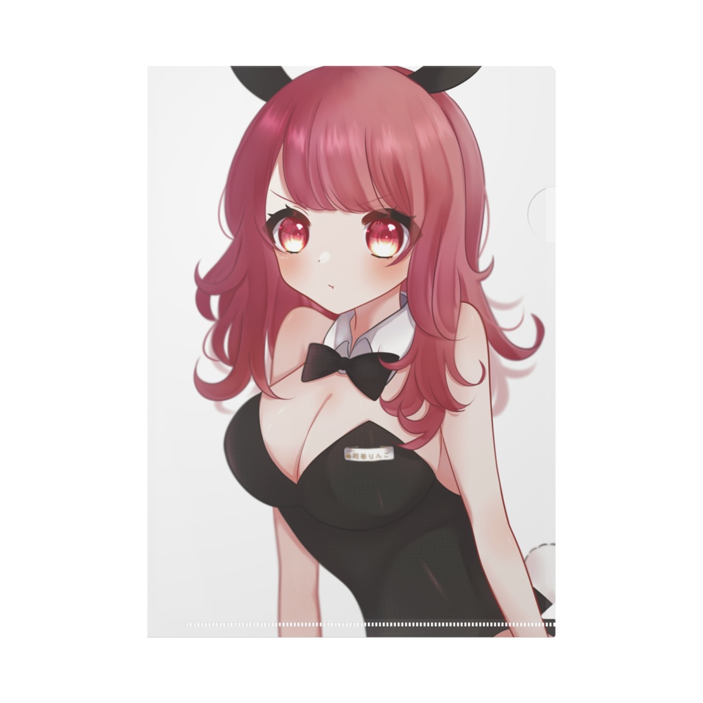 A4クリアファイル