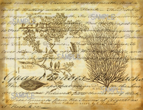 デザインペーパー ポケット アンティーク ジャンクジャーナル junkjournal