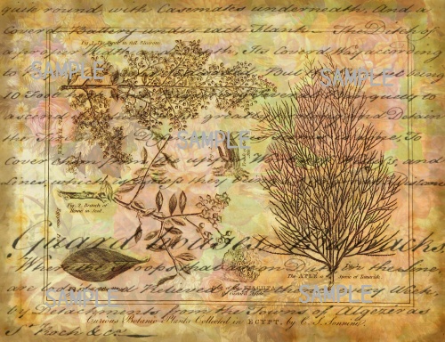 デザインペーパー ポケット アンティーク ジャンクジャーナル junkjournal