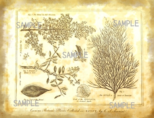 デザインペーパー ポケット アンティーク ジャンクジャーナル junkjournal