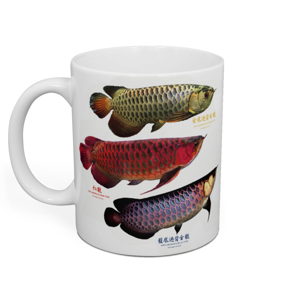 3種類のアジアアロワナ