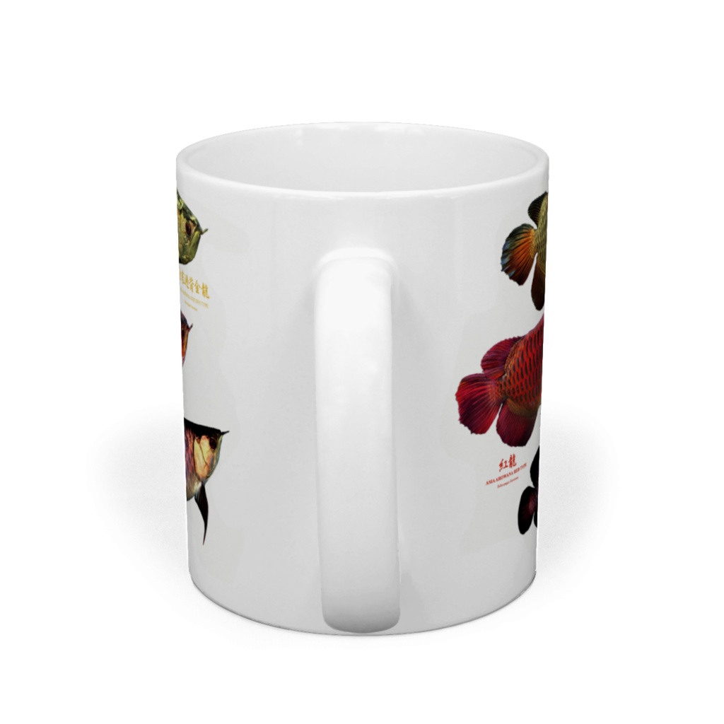 3種類のアジアアロワナ