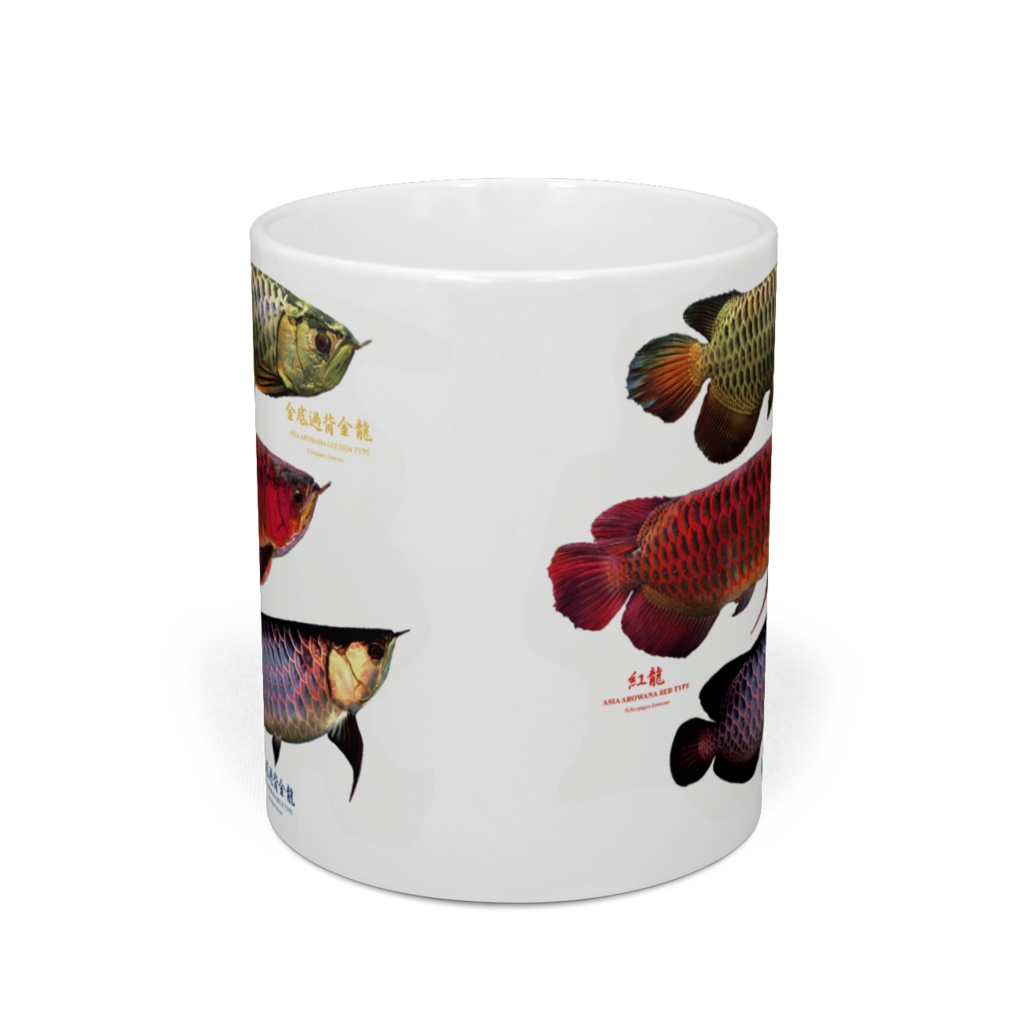 3種類のアジアアロワナ