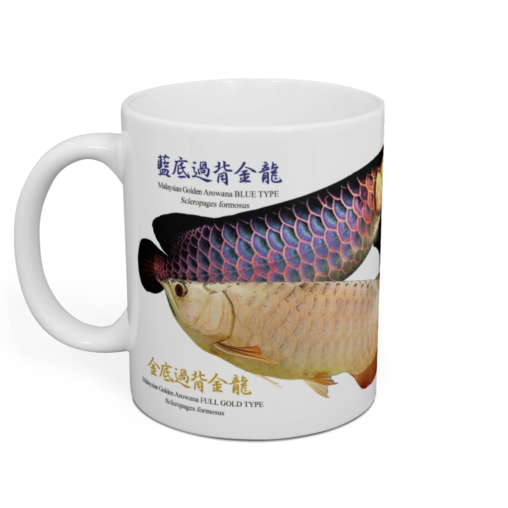 3種類のアジアアロワナ マグカップ