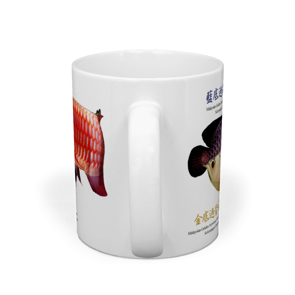 3種類のアジアアロワナ マグカップ