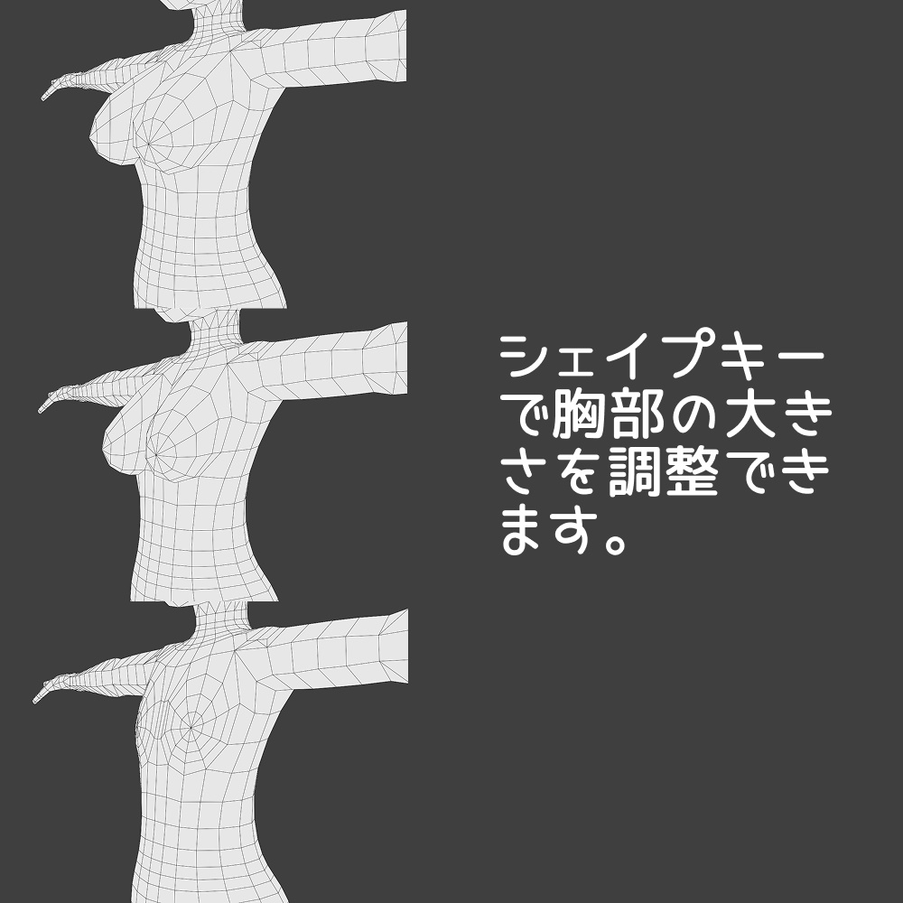 オリジナル 3D モデル素体