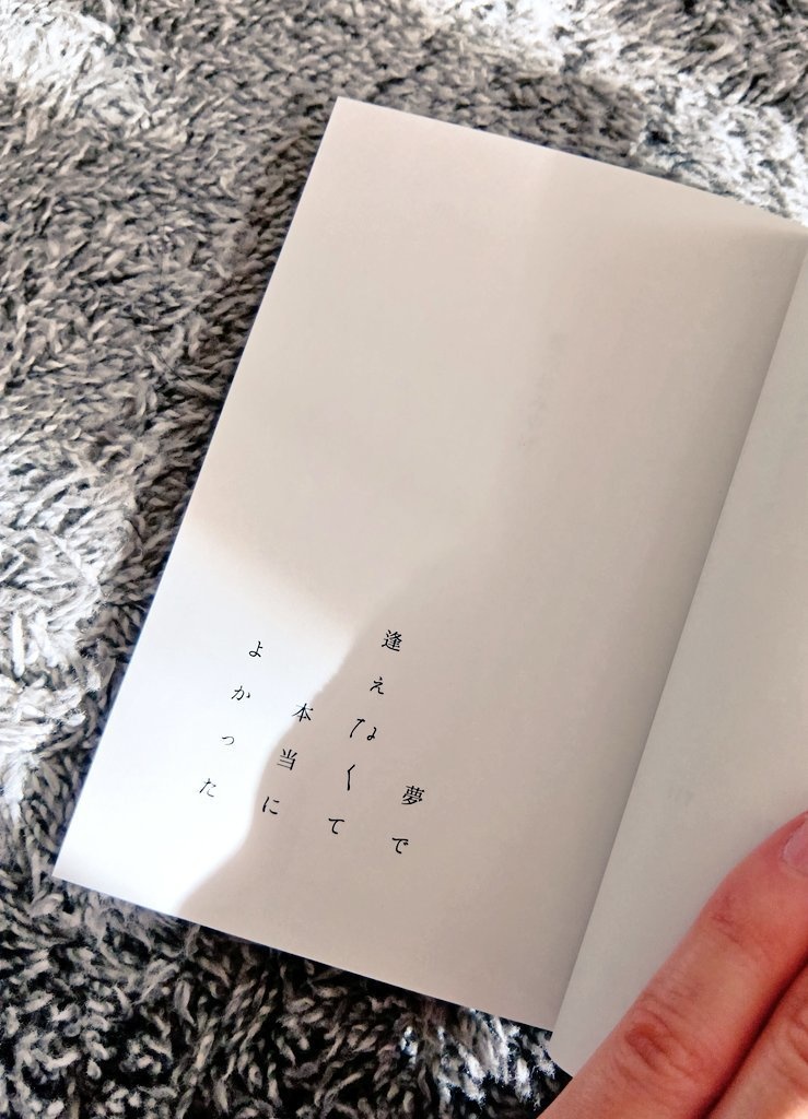 夢で逢えなくて本当によかった