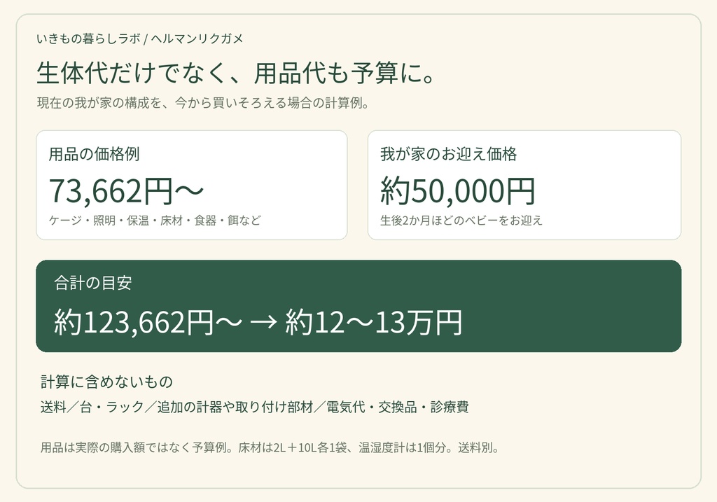 【Excel】サロン・個人レッスンの料金設定 Pro|最大6サービス・キャンセル・改善比較