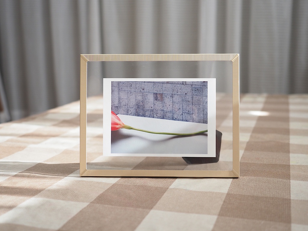 ポストカード 写真 「freesia」フリージア