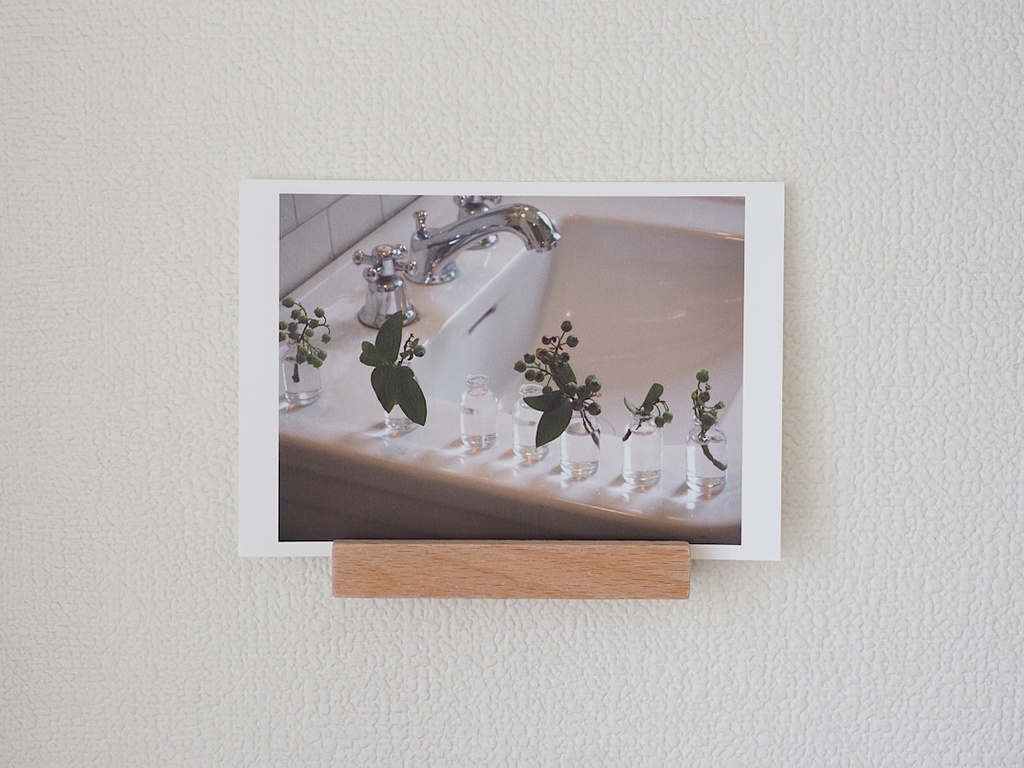 ポストカード 写真 No.15 小瓶 植物