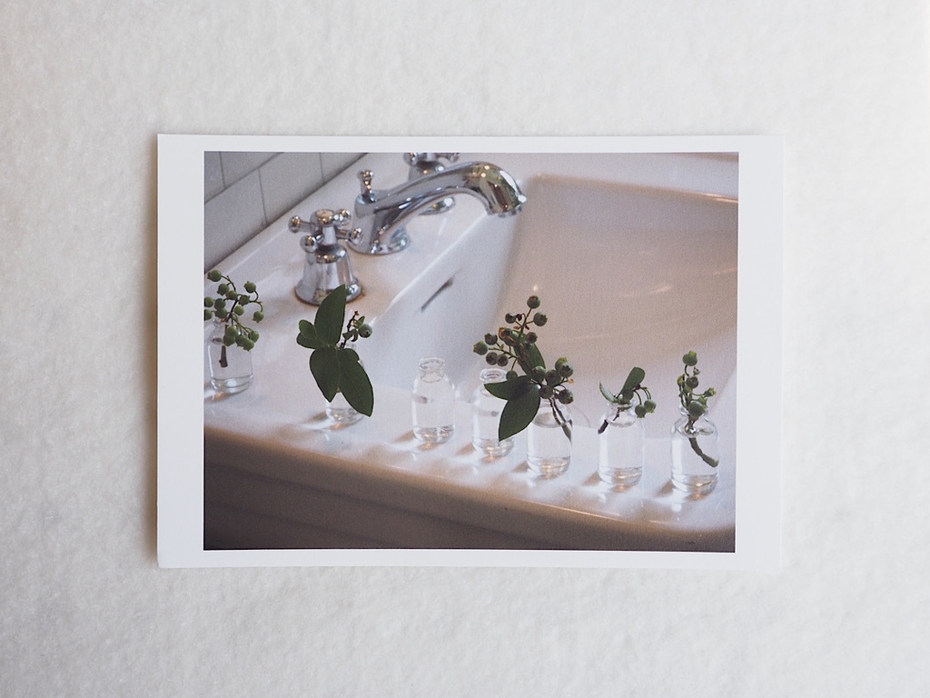 ポストカード 写真 No.15 小瓶 植物