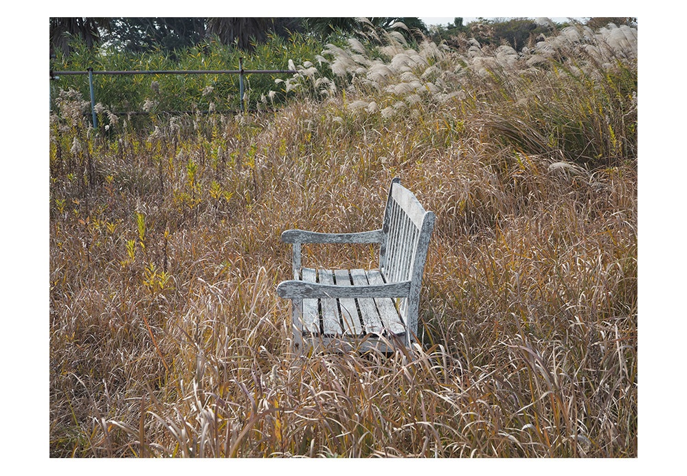 ポストカード 写真「椅子」枯れ草 風景